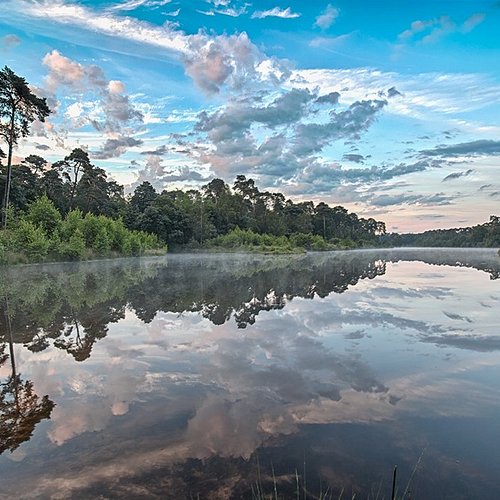 groepsactiviteiten natuur
