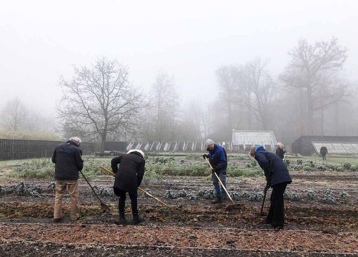 rustgevende omgeving