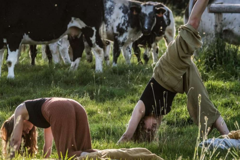 unieke plattelandsbeleving